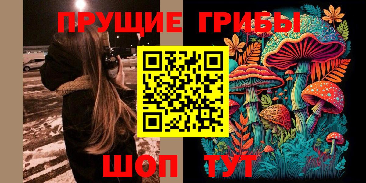 Галлюциногенные грибы Magic Shrooms Торжок