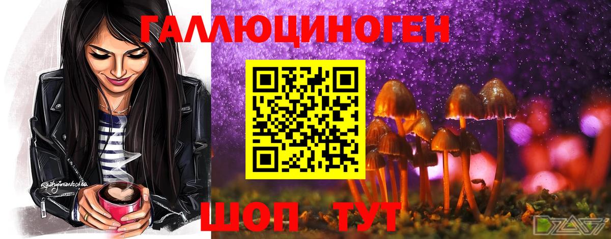 Торжок  Галлюциногенные грибы прущие грибы  Вход с VPN  Галлюциногенные грибы ЛСД 